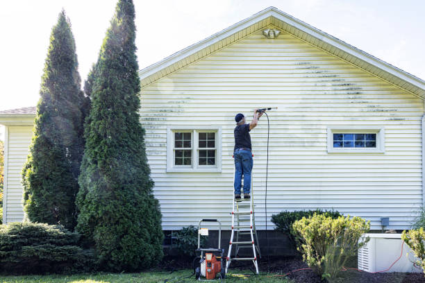 Best Driveway Pressure Washing  in Norwood, NJ